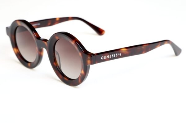 GENESIS AUCKLAND SUNGLASSES 2026 TART LIFESTYLE LINE