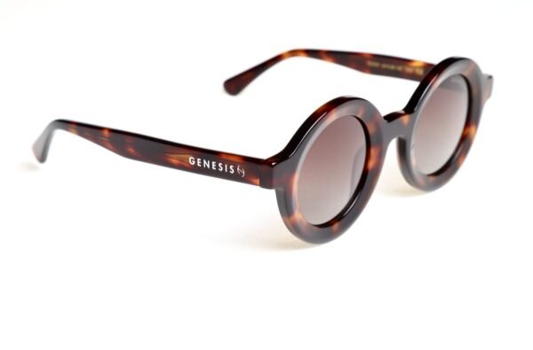GENESIS AUCKLAND SUNGLASSES 2026 TART LIFESTYLE LINE - Image 4