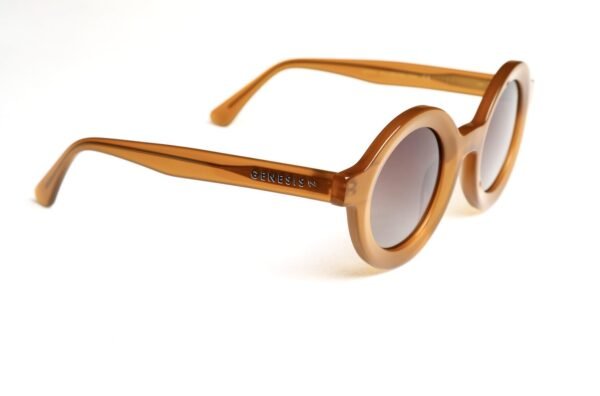 GENESIS AUCKLAND SUNGLASSES 2026 BROWN LINE